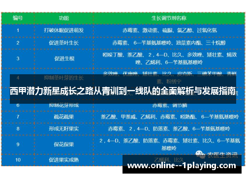西甲潜力新星成长之路从青训到一线队的全面解析与发展指南 西甲潜力新星成长之路从青训到一线队的全面解析与发展指南