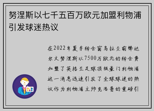 努涅斯以七千五百万欧元加盟利物浦引发球迷热议